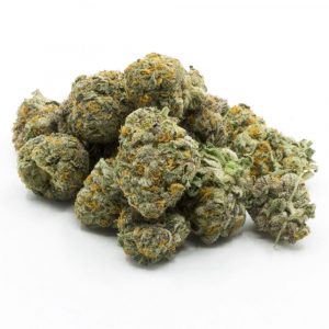 Peyote