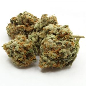 Slurricane Flower