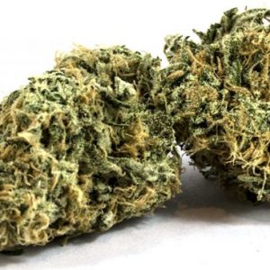 Zombie Kush