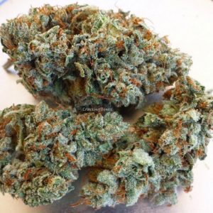 Hybrid Strains